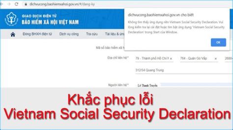 vietnam social security declaration